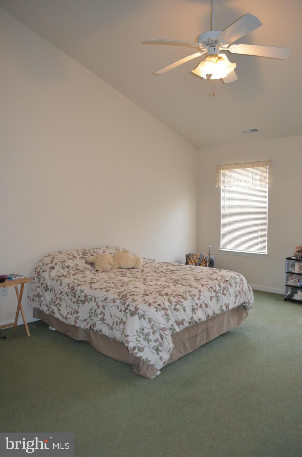 4570 Mattapany Road St. Leonard, MD 20685 - Photo 15 of 28 Master Bedroom with Vaulted Ceiling