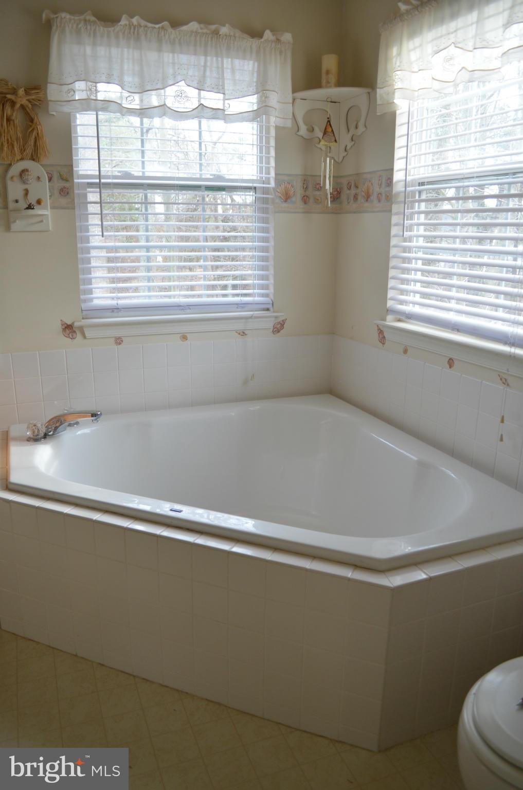 4570 Mattapany Road St. Leonard, MD 20685 - Photo 17 of 28 Large Corner Soaking Tub in the Master Bath