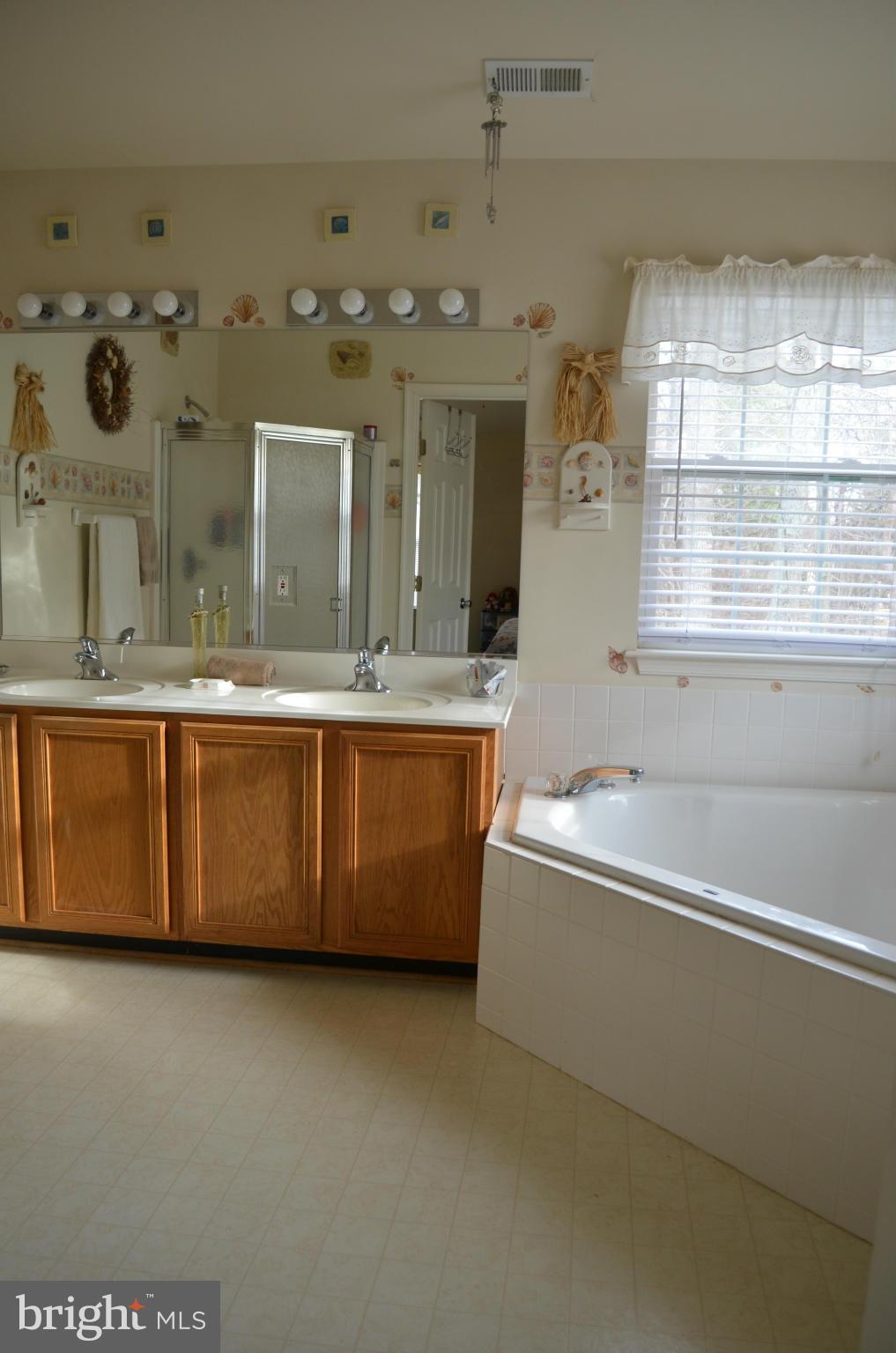 4570 Mattapany Road St. Leonard, MD 20685 - Photo 19 of 28 Master Bath