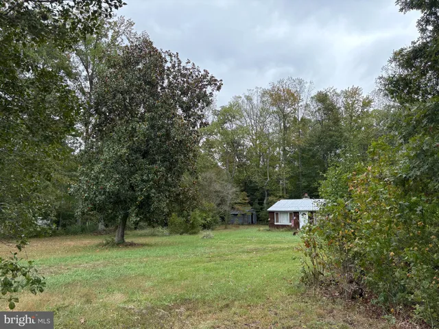 a view of a trees in a yard