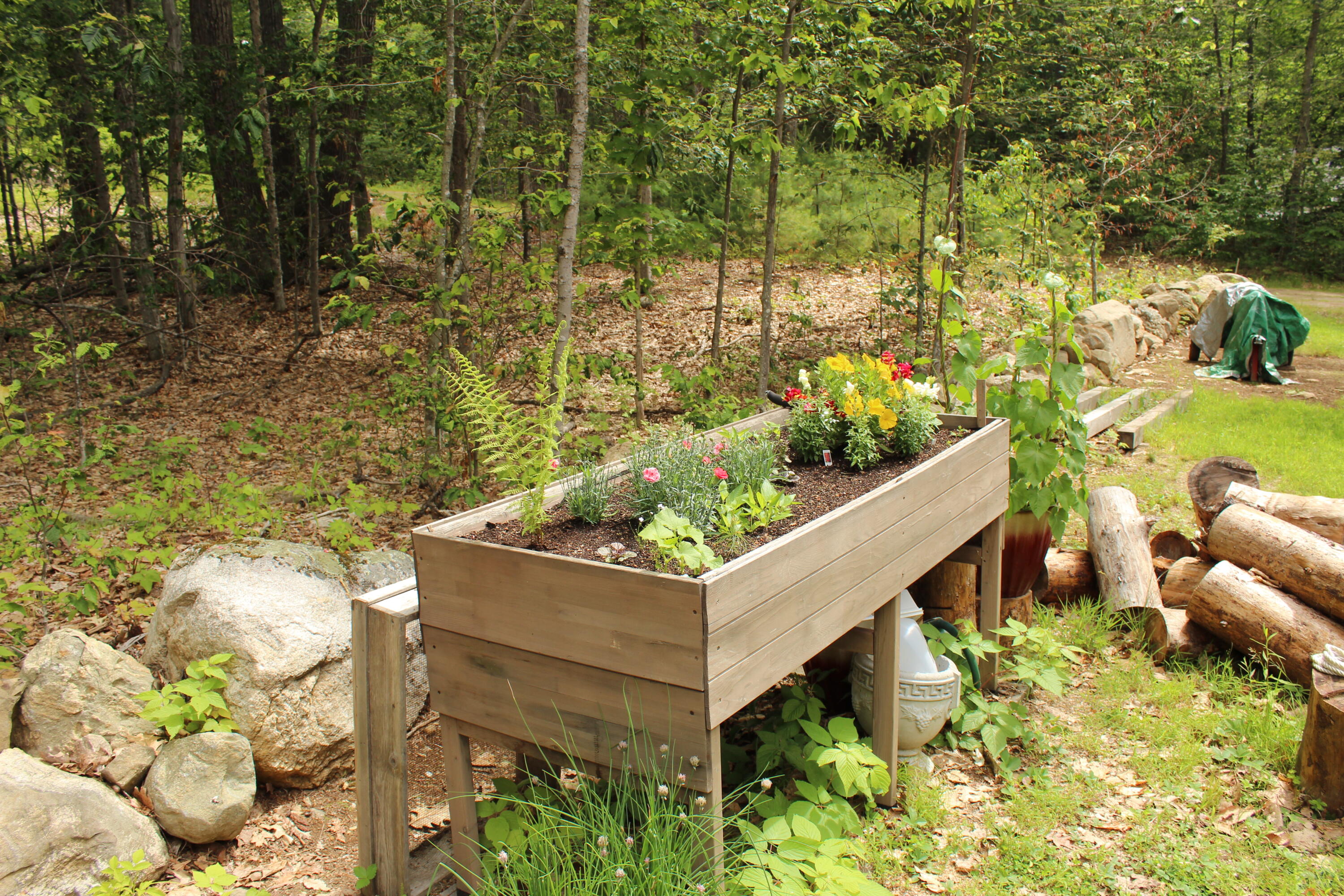 166 Wilkins Road Acton, ME 04001 - Photo 22 of 49 IMG_8110
