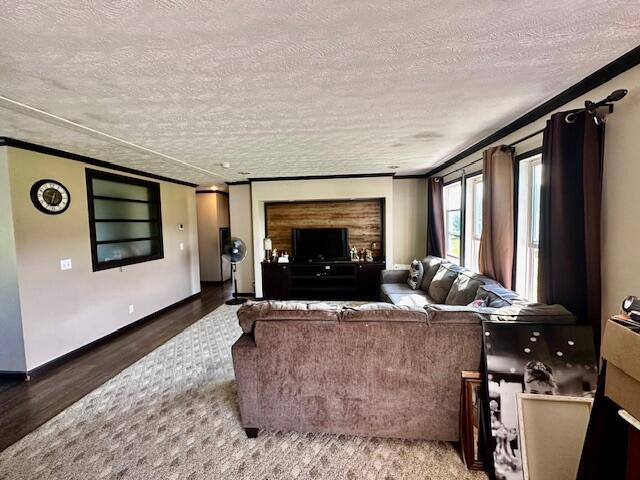3169 Steele Living