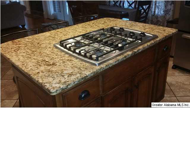 180 Middle Ridge Trail Springville, AL 35146 - Photo 5 of 26
