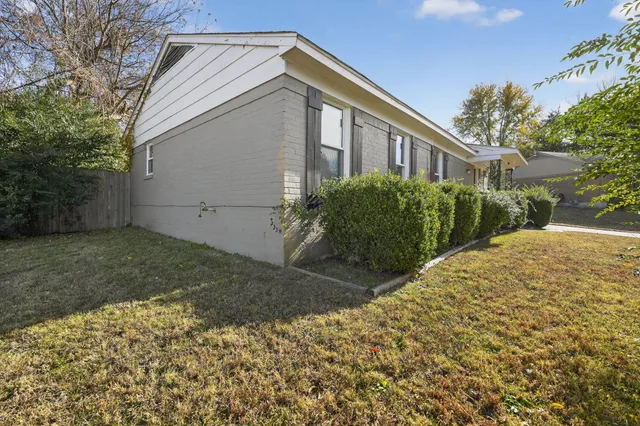 a view of a backyard with plants and large trees