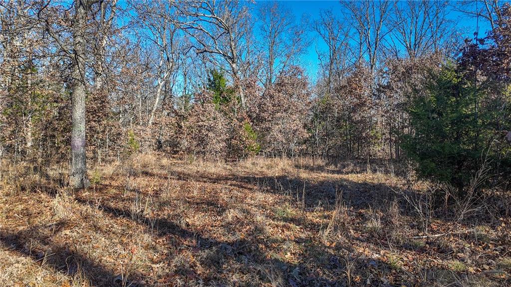 0 Southeast 1151st Road Collins, MO 64738 - Photo 39 of 43 Gallery Image 39