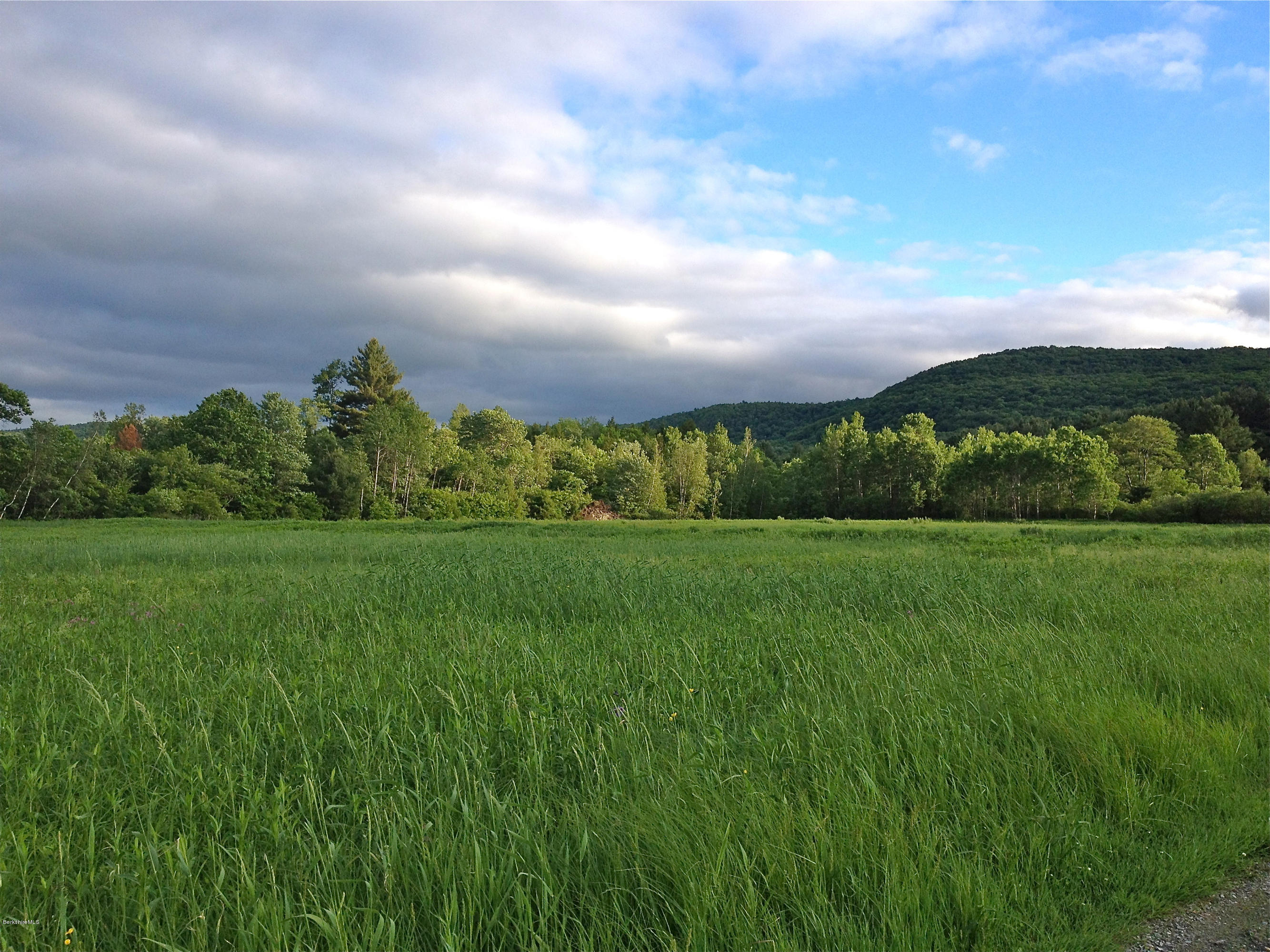 151 Main Road Tyringham, MA 01264 - Photo 3 of 62 a view of a big yard with a large tree