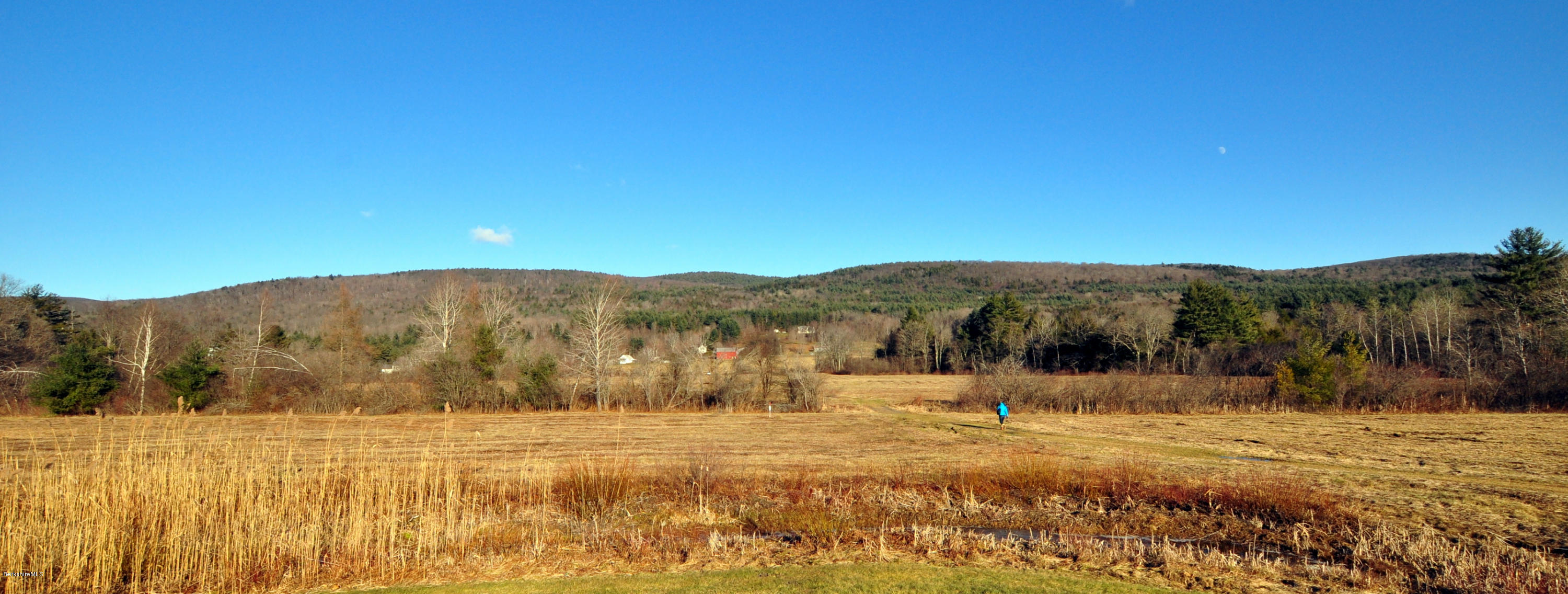 151 Main Road Tyringham, MA 01264 - Photo 50 of 62 a view of a backyard with mountain