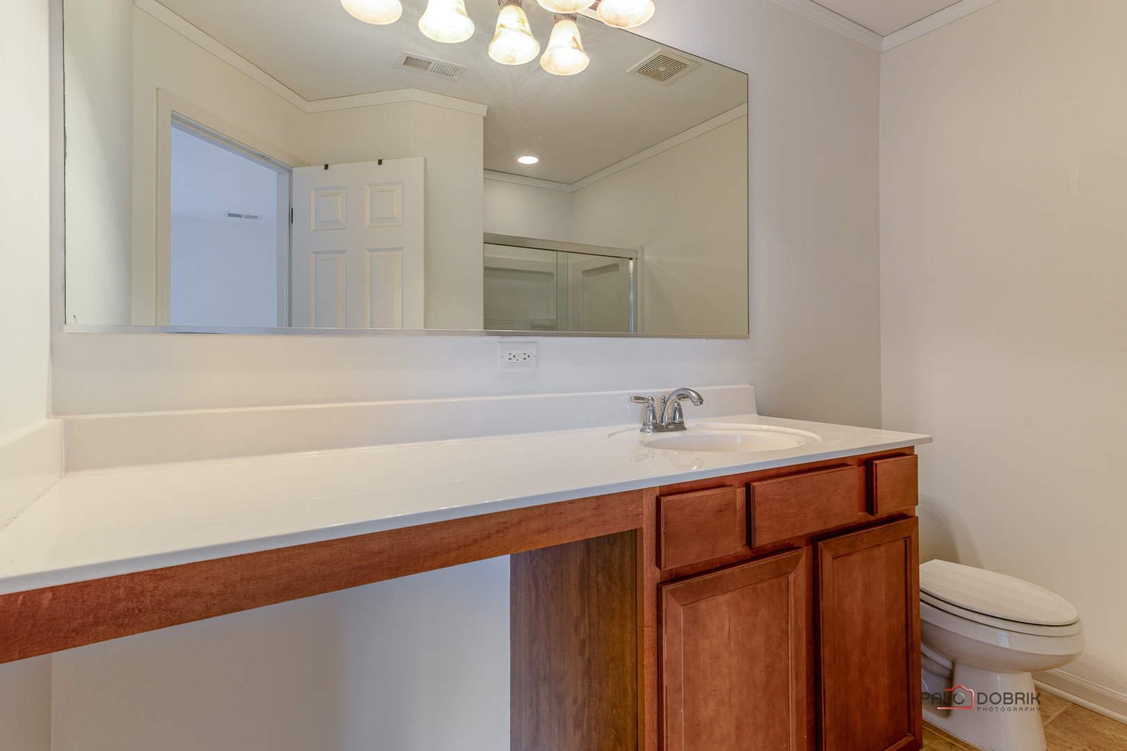 3410 Cameron Drive Elgin, IL 60124 - Photo 19 of 28 a bathroom with a sink vanity and toilet