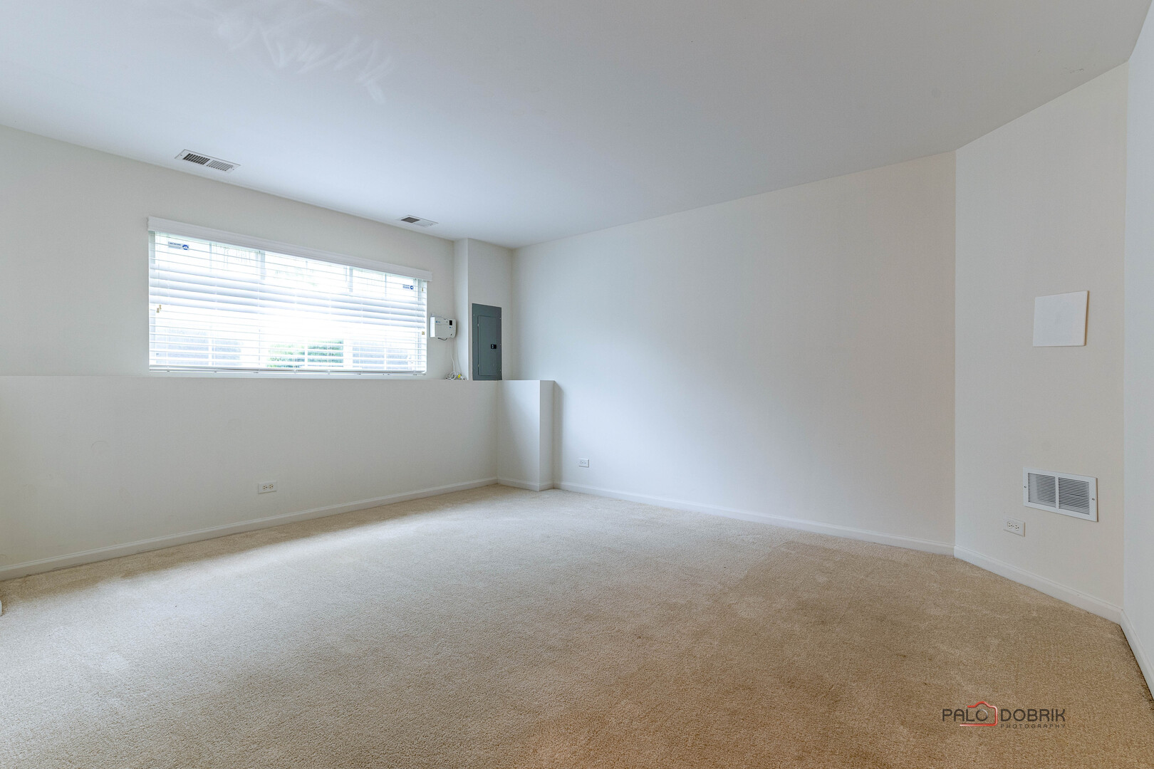 3410 Cameron Drive Elgin, IL 60124 - Photo 21 of 28