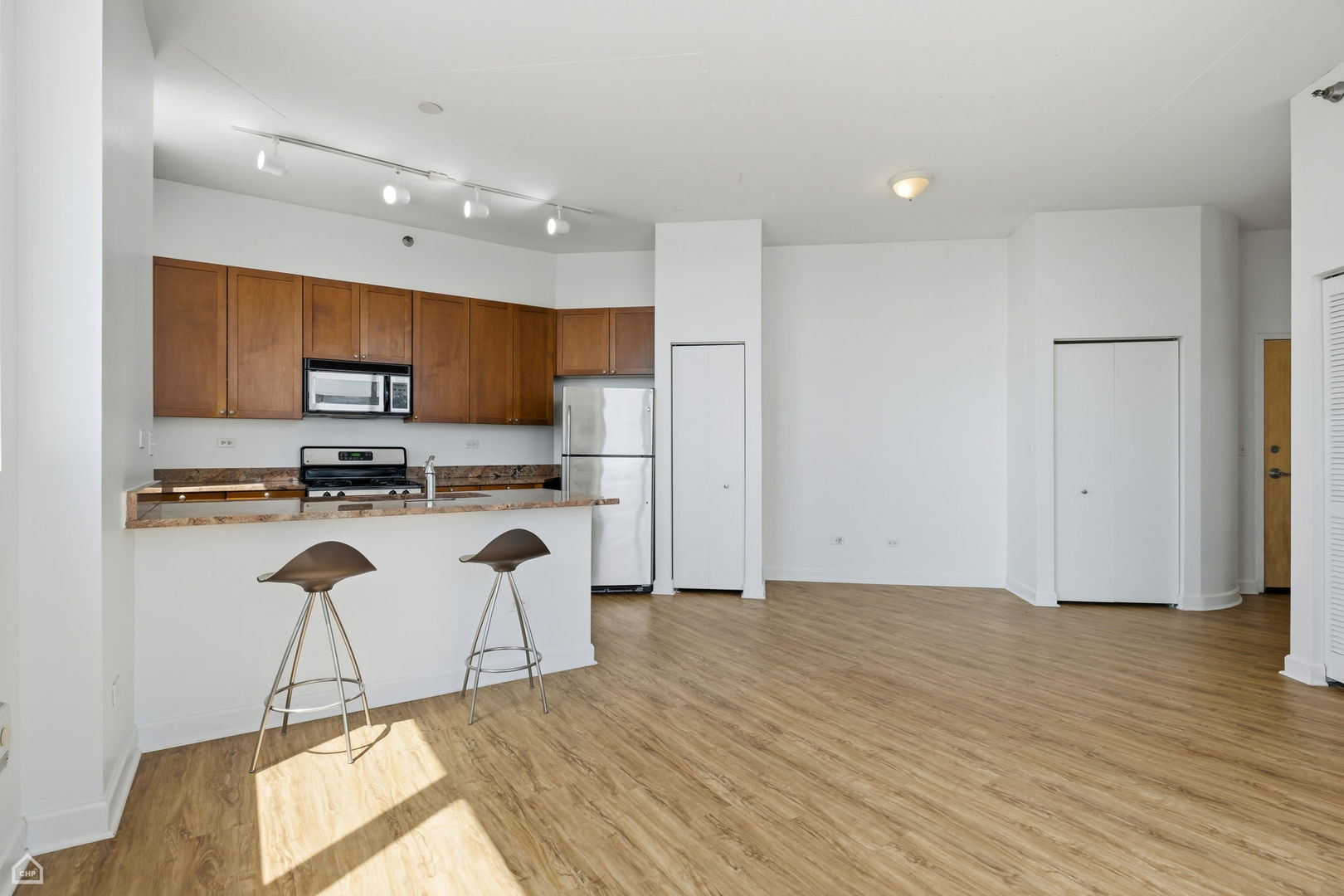 1600 South Indiana Avenue, Unit 1401 Chicago, IL 60616 - Photo 3 of 13