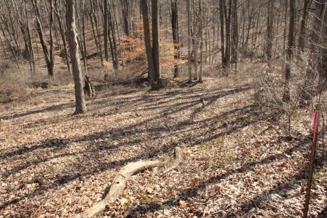 1 Harble Griffith Road Logan, OH 43138 - Photo 6 of 10 Gallery Image 6