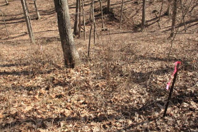 1 Harble Griffith Road Logan, OH 43138 - Photo 8 of 10 Gallery Image 8