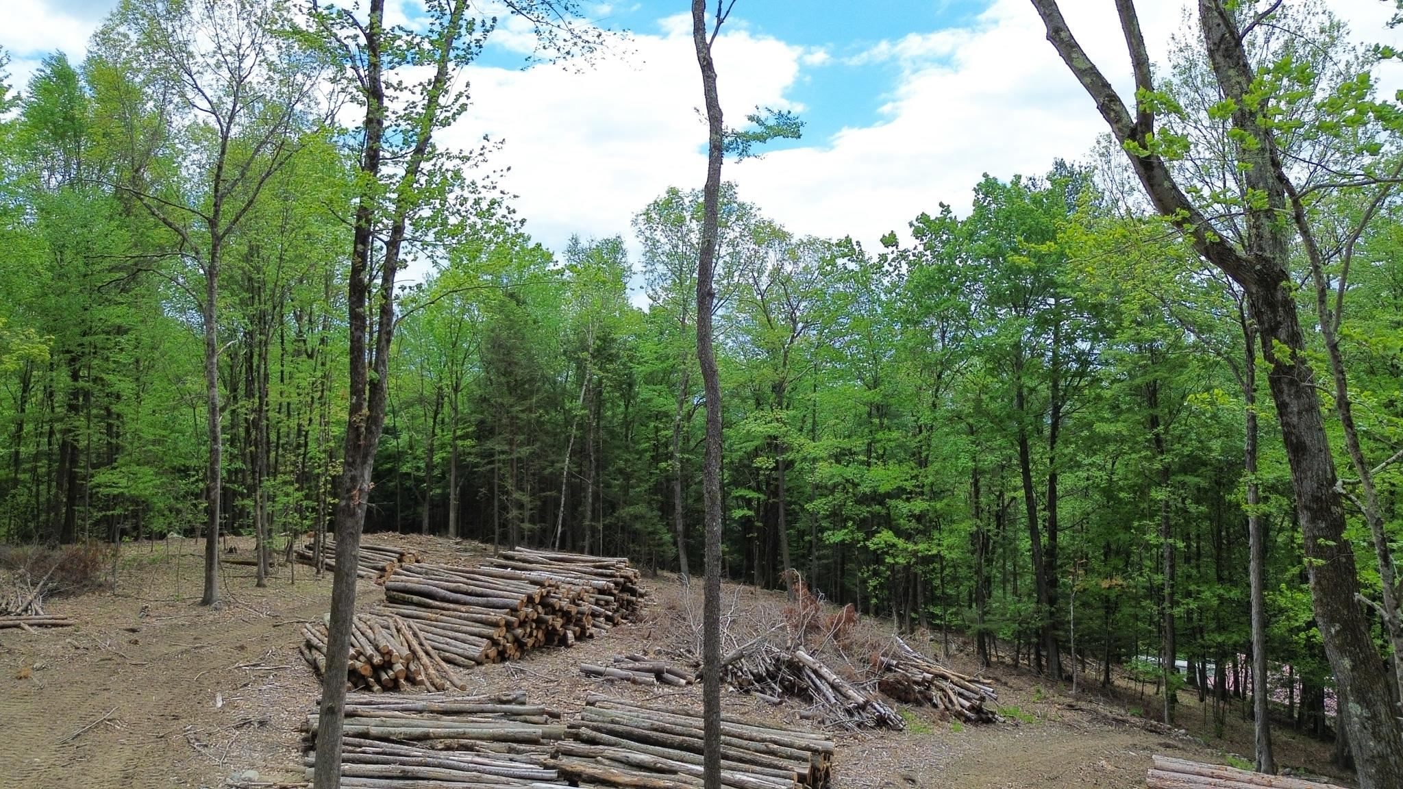 Lot 26-4 Plain Road Hinsdale, NH 03451 - Photo 4 of 28