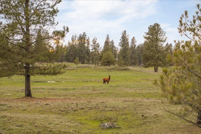 $451,630 | Unk South Cheney Plaza Road, Unit 12242 9010 & 12242 9013, Cheney, WA 99004