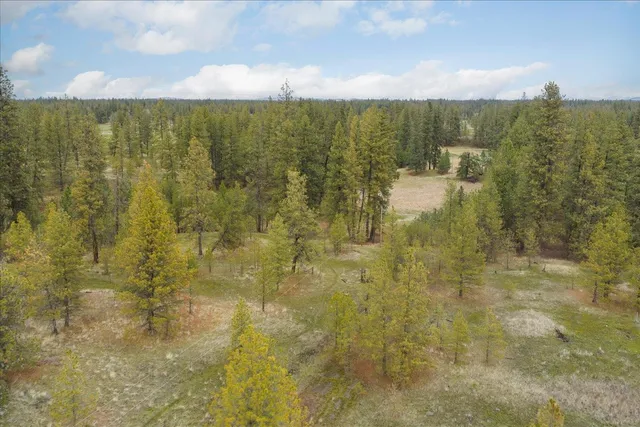 $451,630 | Unk South Cheney Plaza Road, Unit 12242 9010 & 12242 9013, Cheney, WA 99004