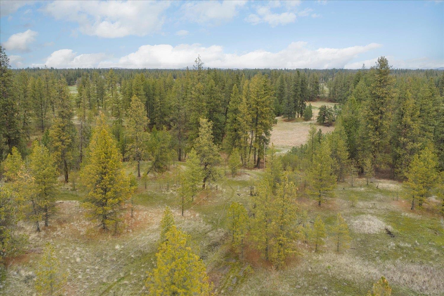 Unk South Cheney Plaza Road, Unit 12242 9010 & 12242 9013 Cheney, WA 99004 - Photo 6 of 23