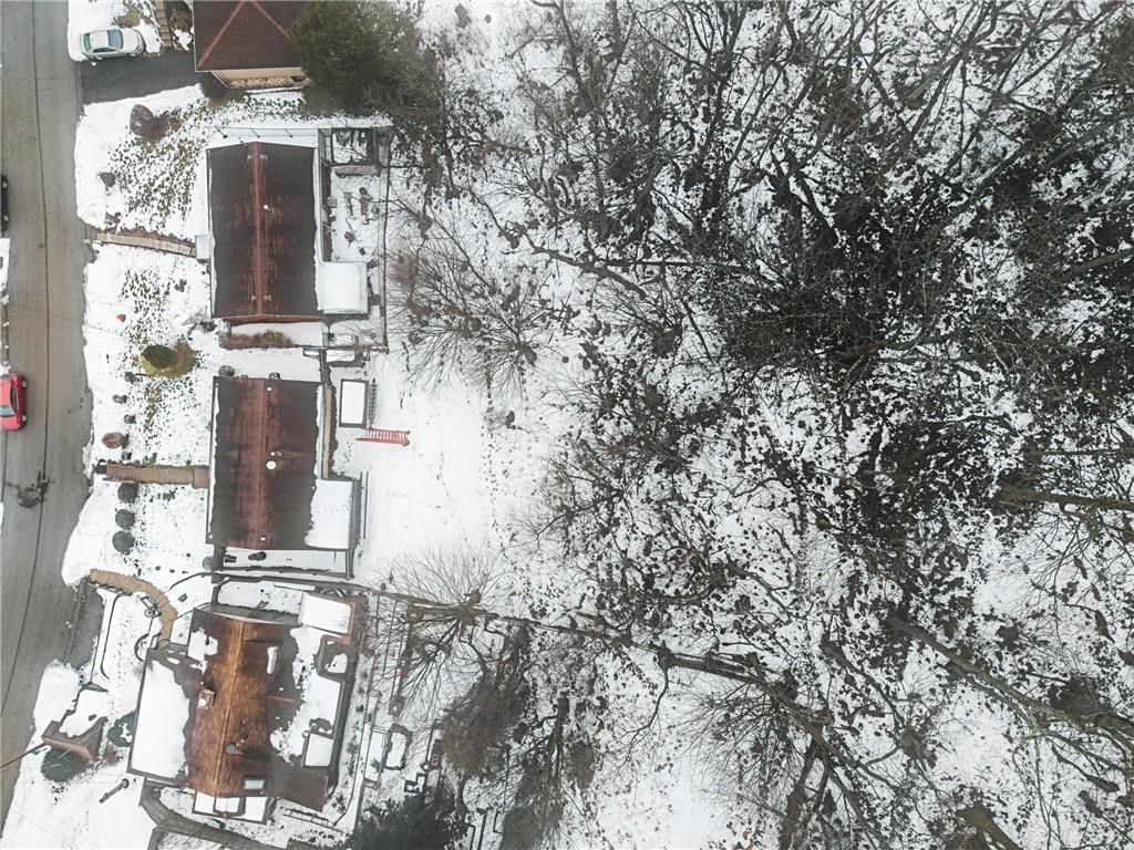 3504 Bevan Road North Versailles, PA 15137 - Photo 3 of 21 front view of a house with a tree