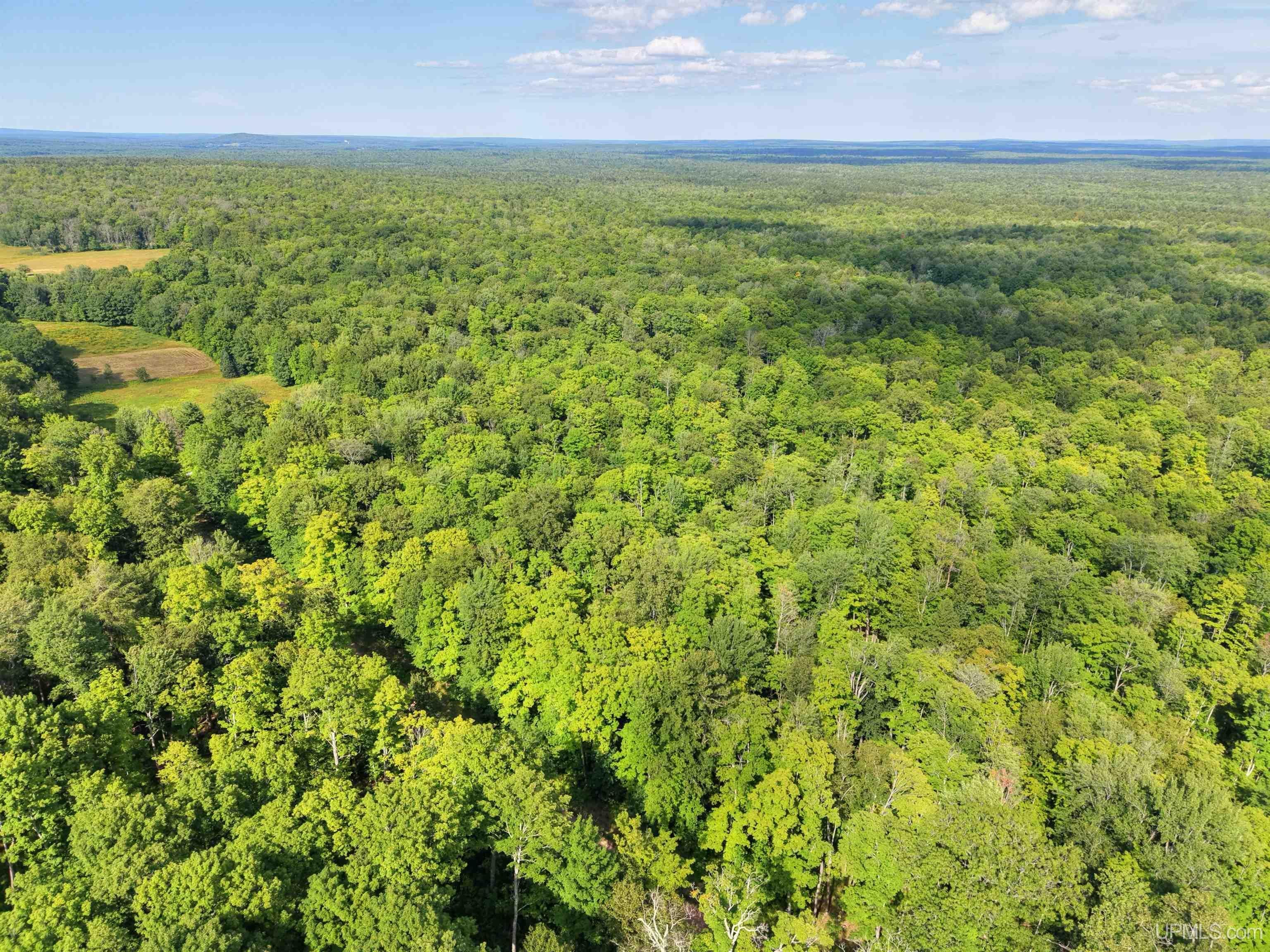 Tbd South Laird Road Pelkie, MI 49952 - Photo 6 of 14 Gallery Image 6