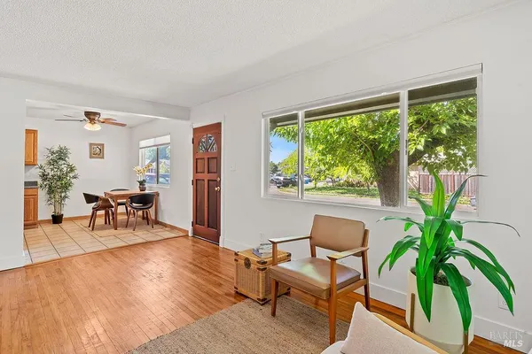 a living room with furniture and a potted plant