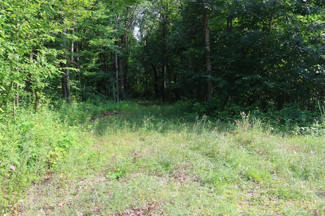 $99,900 | Lot 11 103rd Street, Frederic, WI 54837