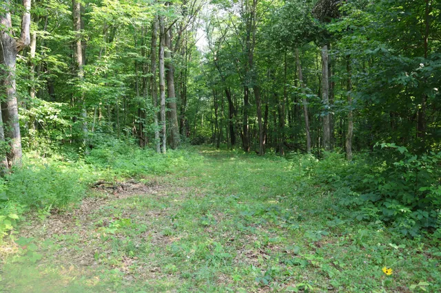 $99,900 | Lot 11 103rd Street, Frederic, WI 54837