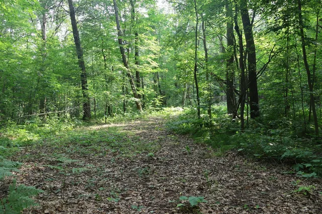 $99,900 | Lot 11 103rd Street, Frederic, WI 54837