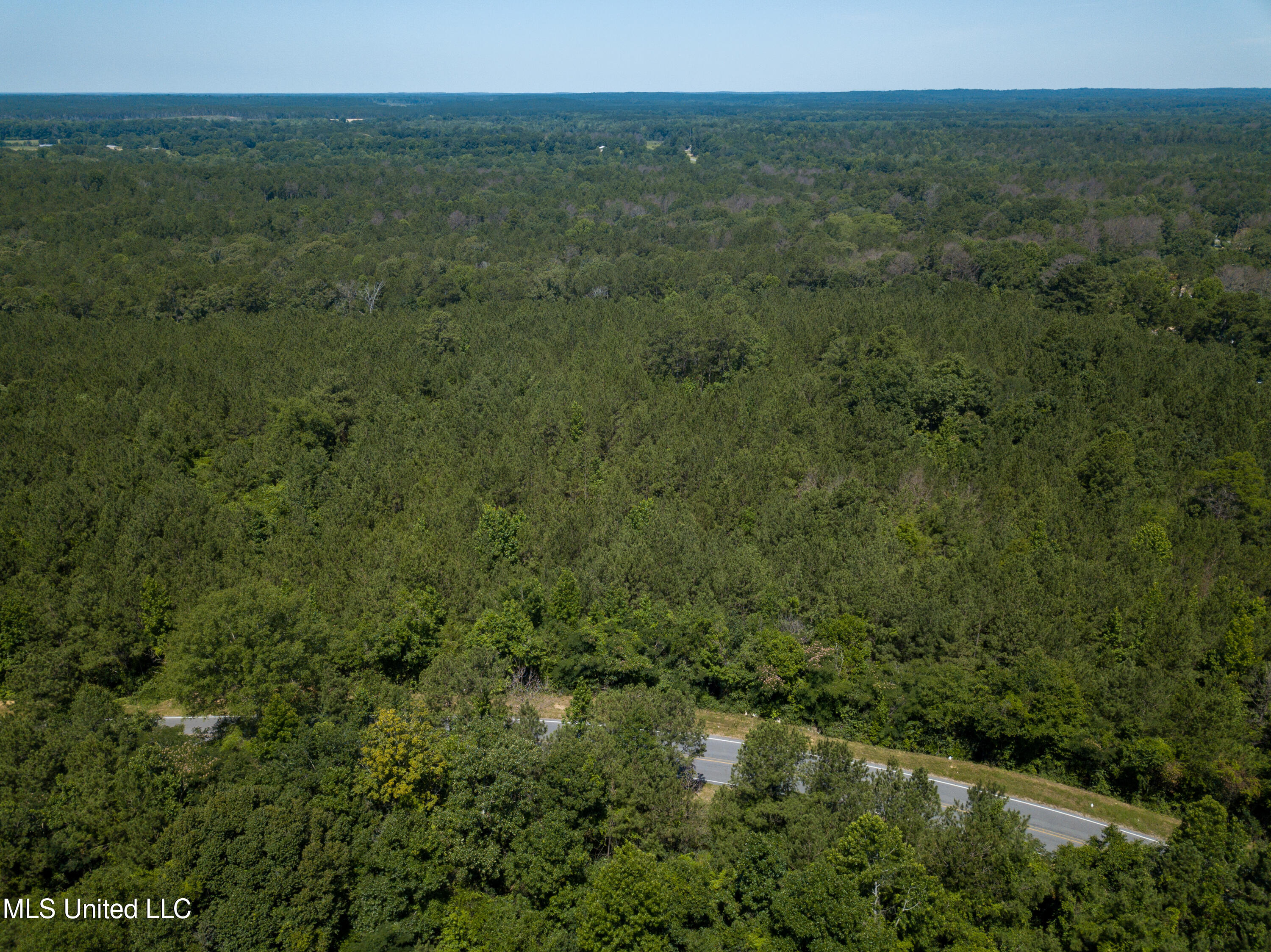Jupiter Road Braxton, MS 39044 - Photo 27 of 39 DJI_0335