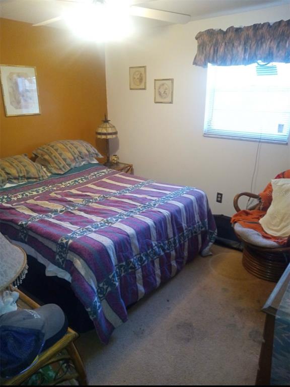 528 Lantern Circle Temple Terrace, FL 33617 - Photo 12 of 27 a bedroom with a bed and a window