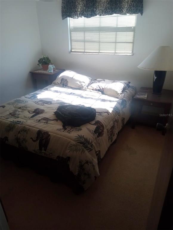 528 Lantern Circle Temple Terrace, FL 33617 - Photo 15 of 27