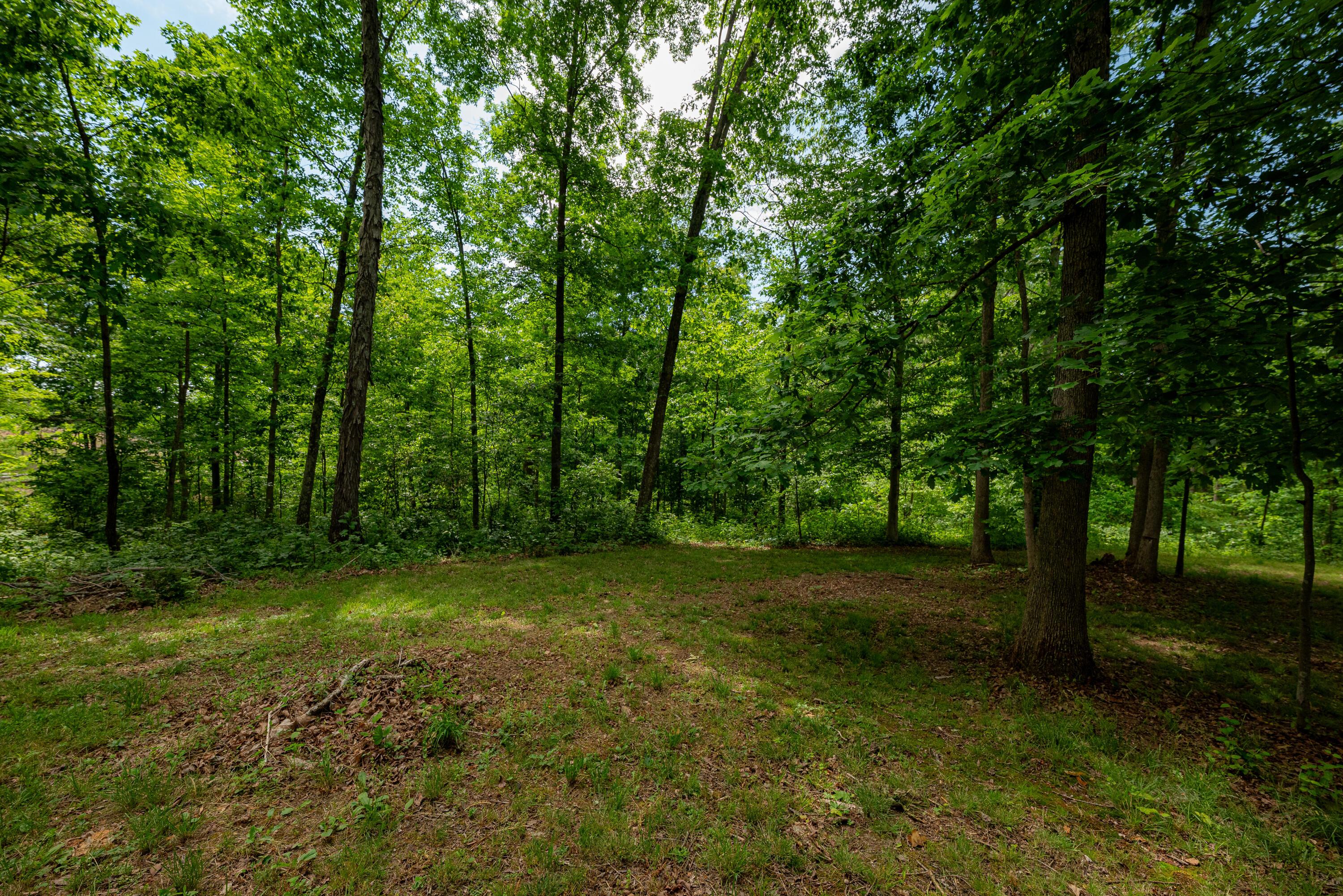 462 Hartsook Road Vinton, OH 45686 - Photo 54 of 60 Cabin 11