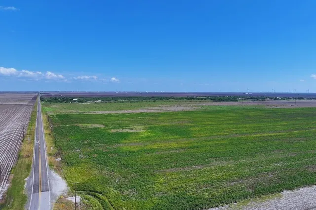 a view of a field with an trees