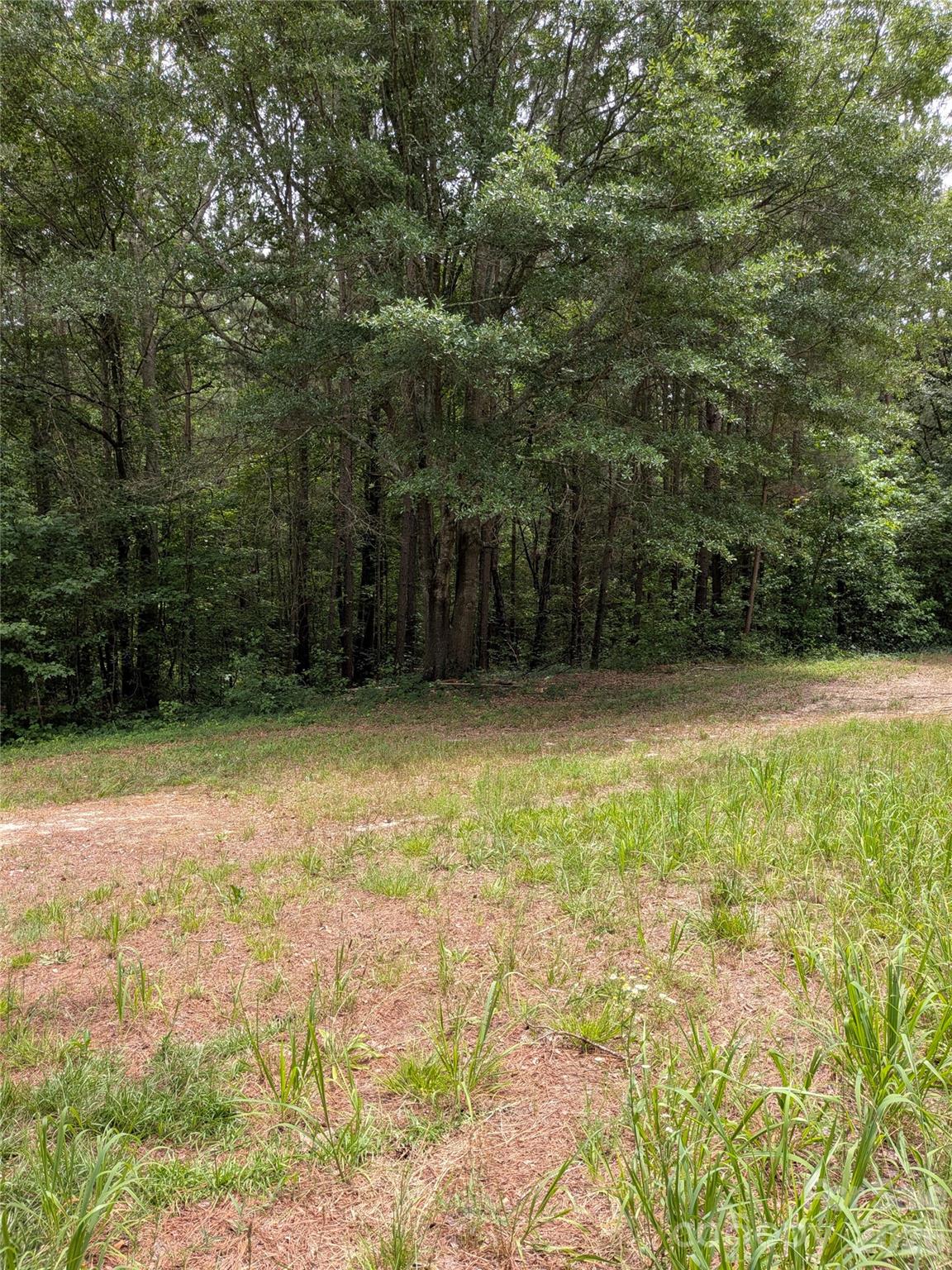1122 Lavender Road Grover, NC 28073 - Photo 4 of 4
