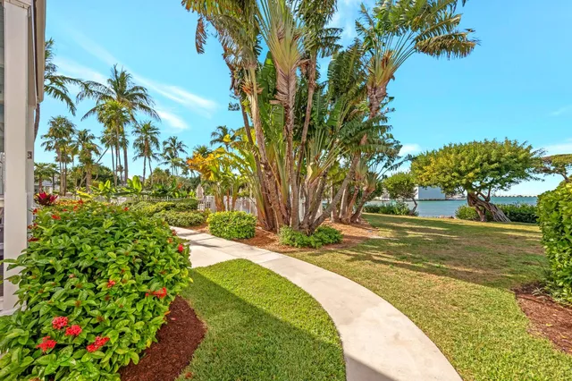 a view of a garden with plants and trees