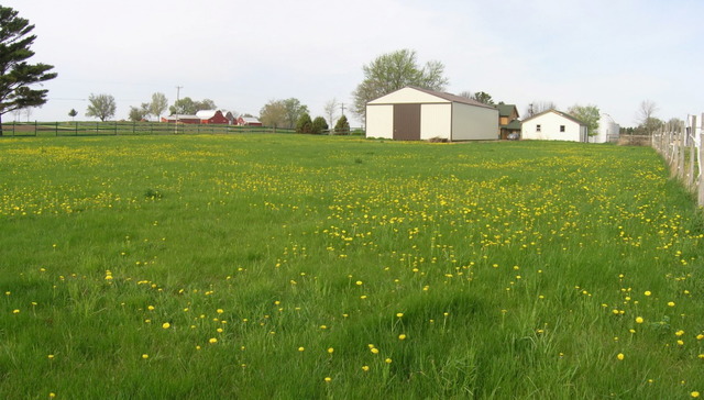 11018 West Pines Road Polo, IL 61064 - Photo 13 of 22