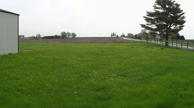 11018 West Pines Road Polo, IL 61064 - Photo 3 of 22