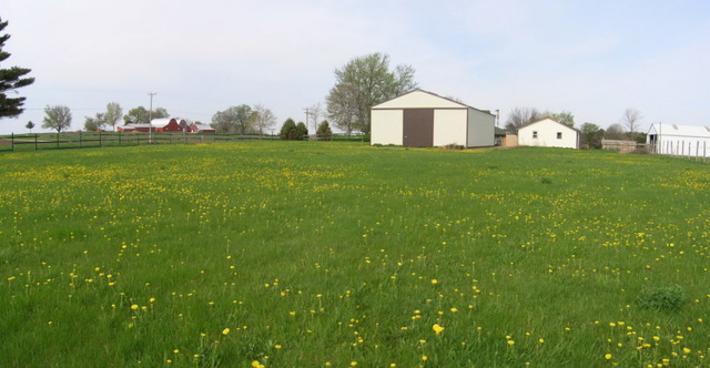 11018 West Pines Road Polo, IL 61064 - Photo 5 of 22