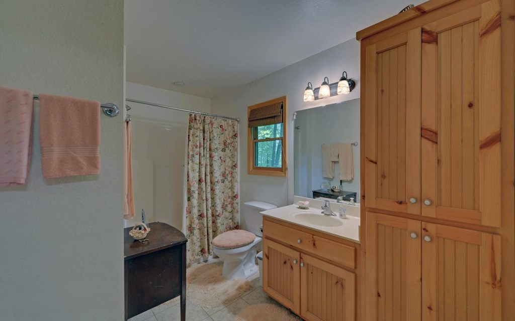 164 Dew Drop Lane Murphy, NC 28906 - Photo 46 of 49