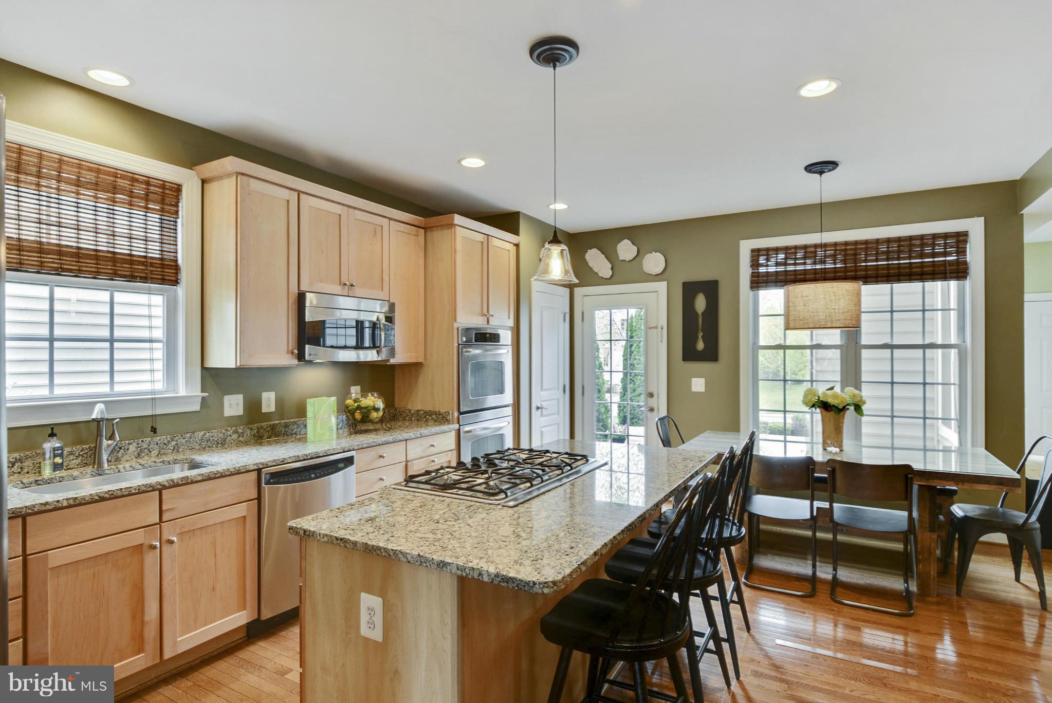 42445 Spring Splendor Drive Ashburn, VA 20148 - Photo 11 of 30 Granite Counters