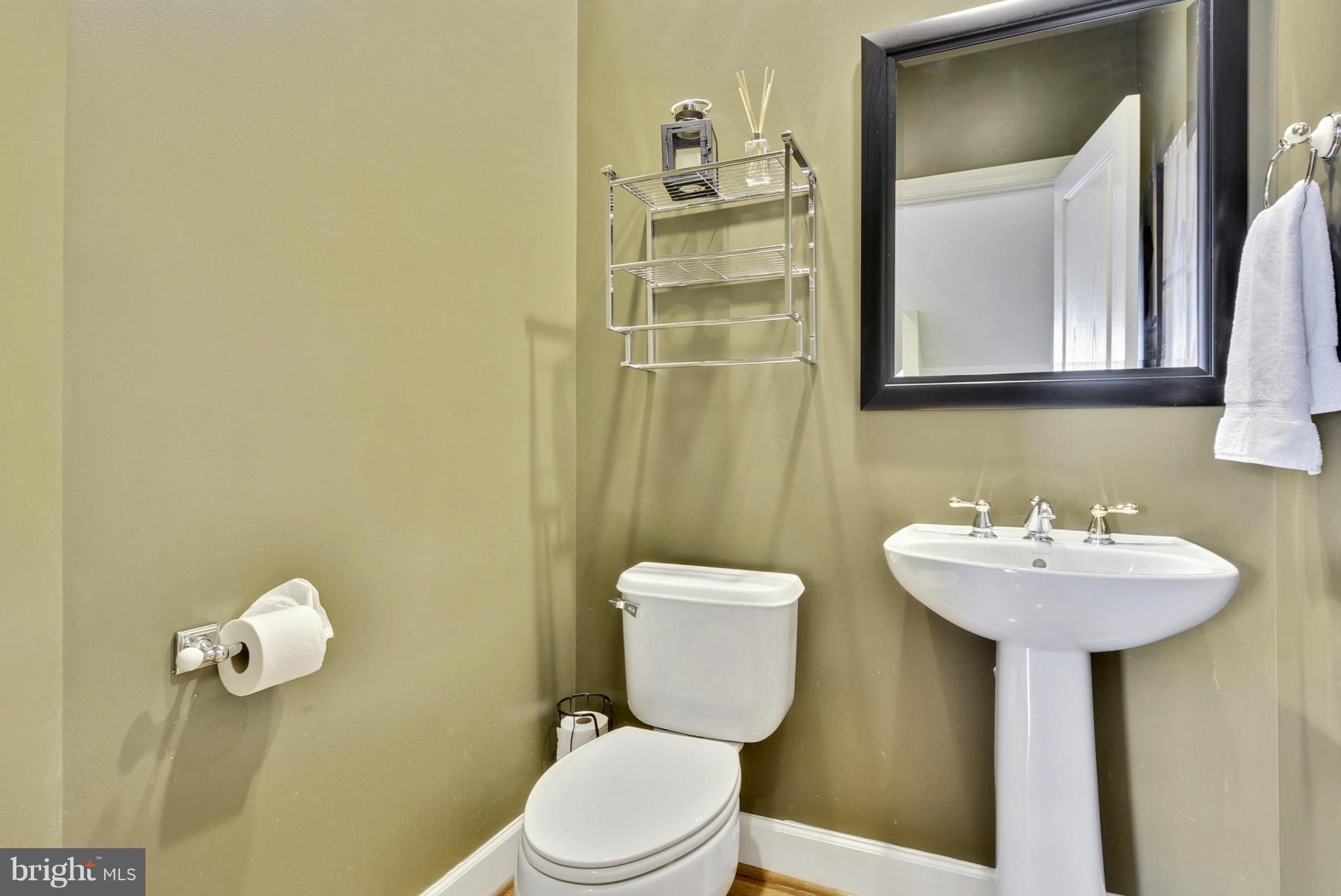 42445 Spring Splendor Drive Ashburn, VA 20148 - Photo 14 of 30 Powder Room on Main Level