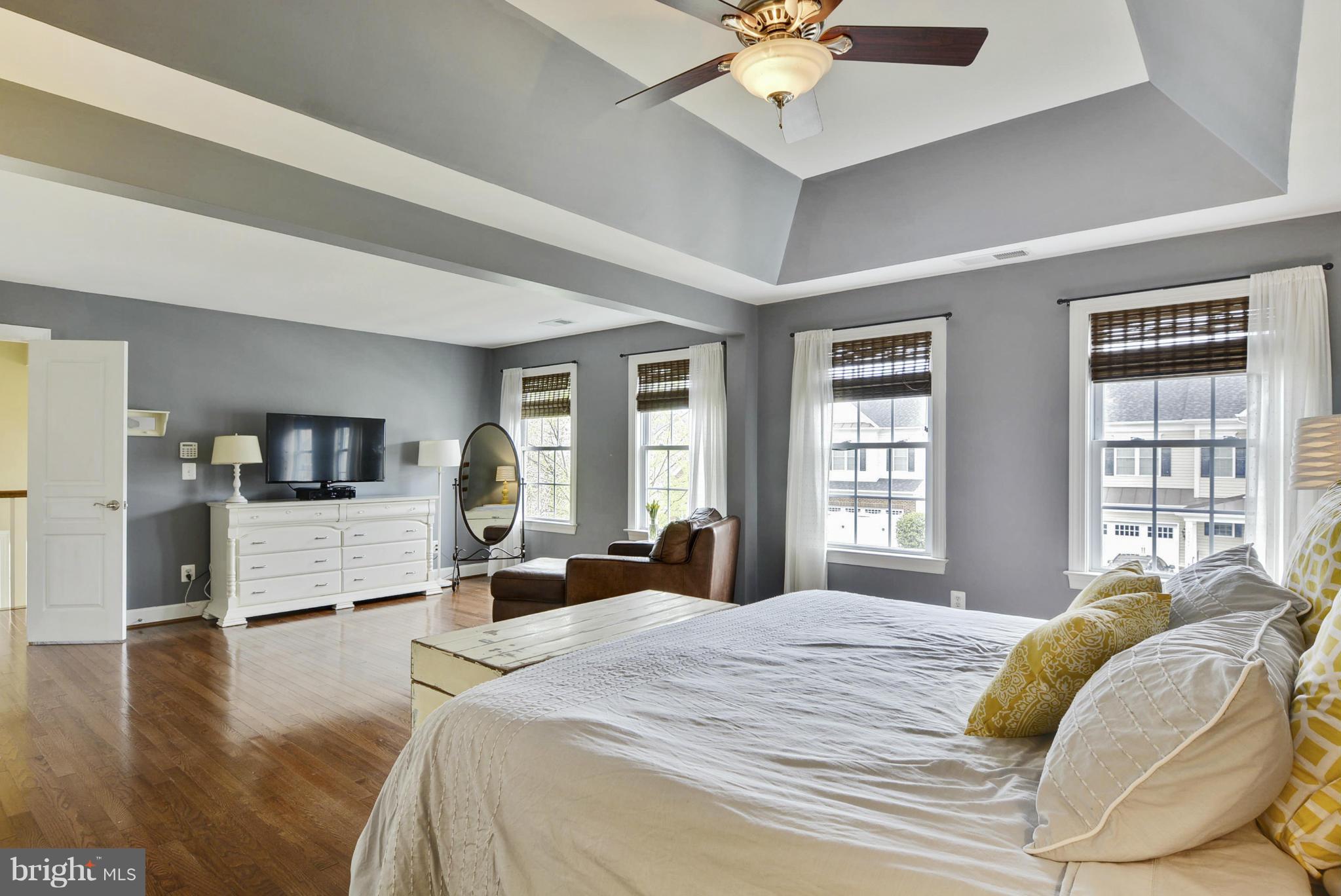 42445 Spring Splendor Drive Ashburn, VA 20148 - Photo 17 of 30 Owner's Suite with Trey Ceiling