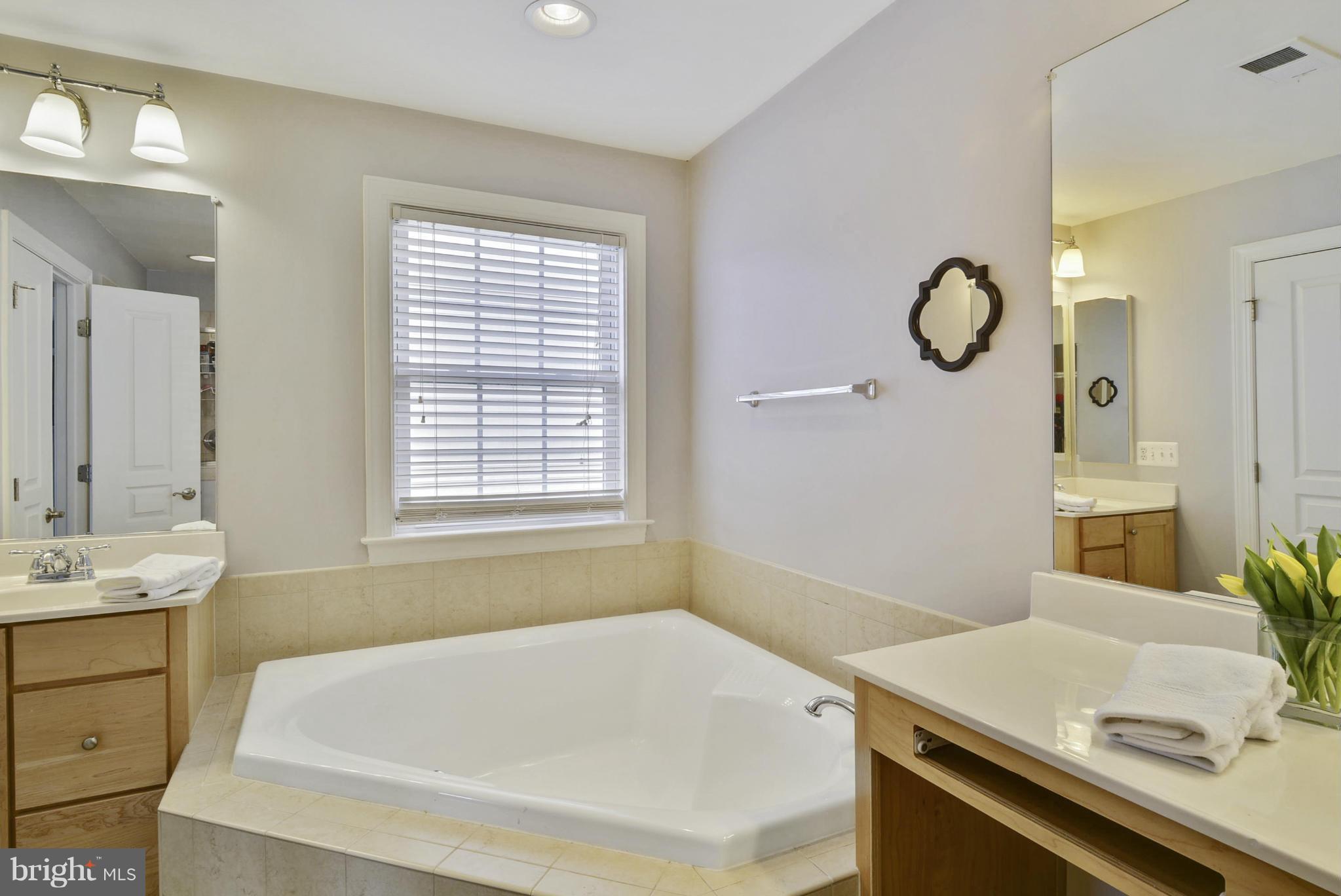 42445 Spring Splendor Drive Ashburn, VA 20148 - Photo 18 of 30 Bath (Master)