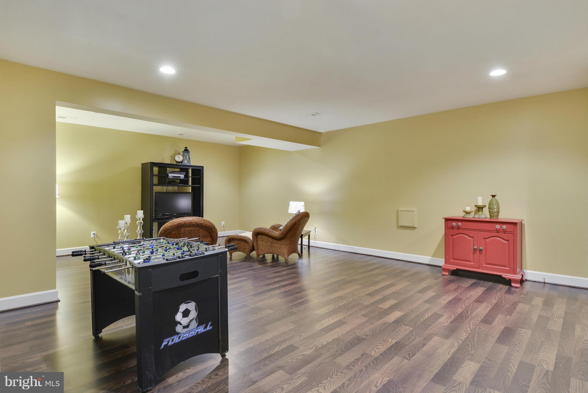 42445 Spring Splendor Drive Ashburn, VA 20148 - Photo 22 of 30 Recreation Room