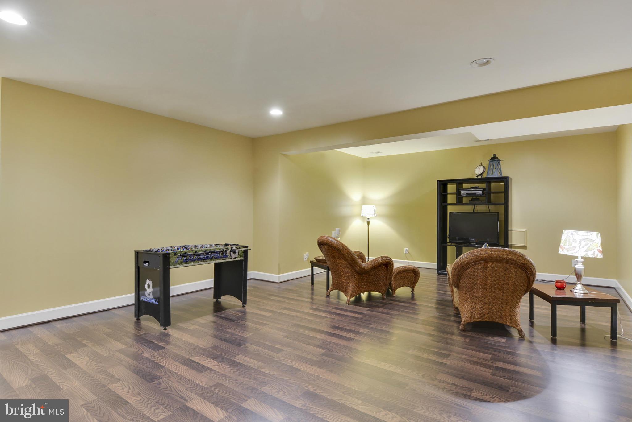 42445 Spring Splendor Drive Ashburn, VA 20148 - Photo 23 of 30 Recreation Room