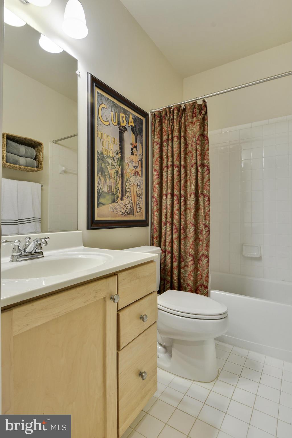 42445 Spring Splendor Drive Ashburn, VA 20148 - Photo 26 of 30 3rd Full Bath