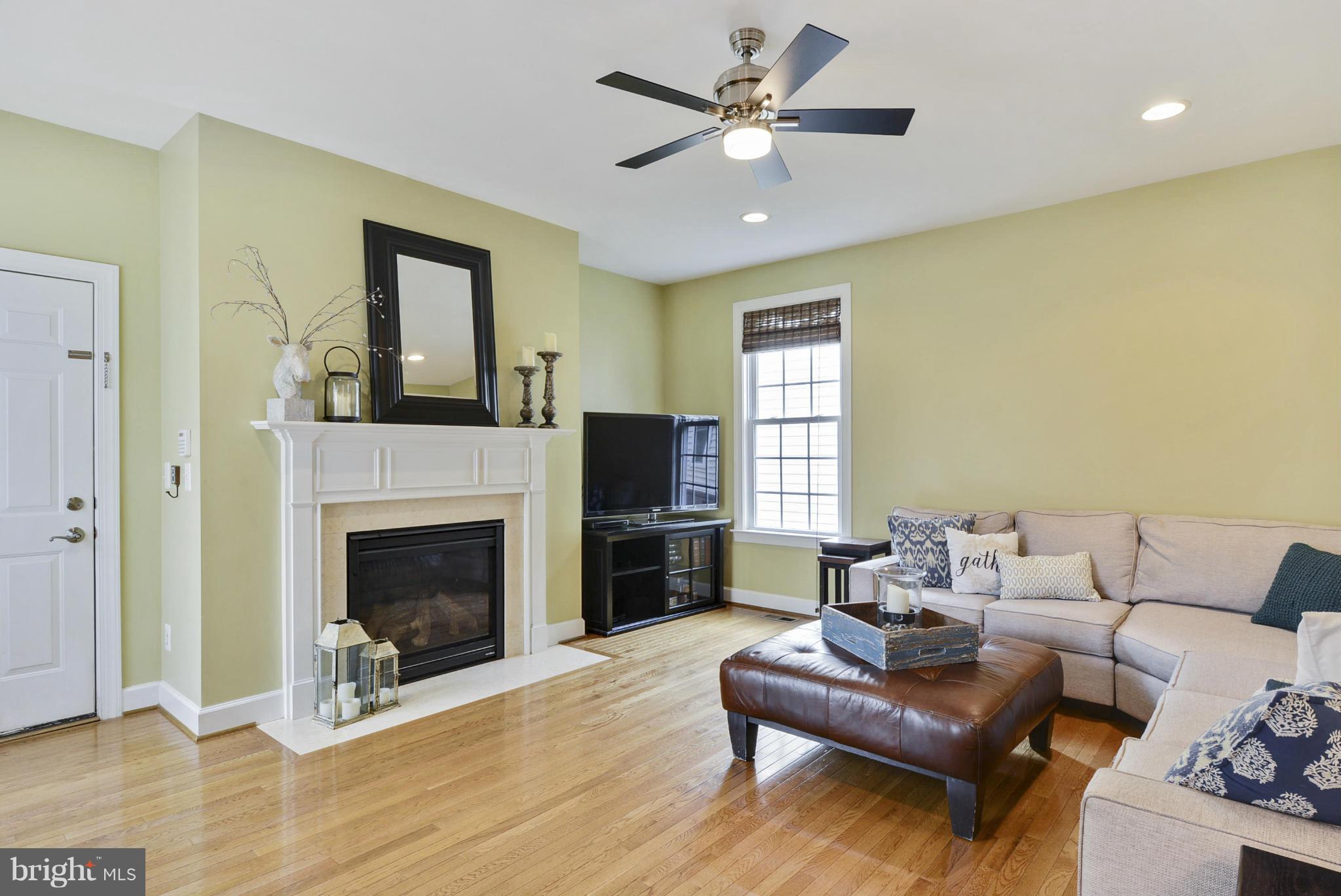 42445 Spring Splendor Drive Ashburn, VA 20148 - Photo 4 of 30 Family Room with Gas Fireplace