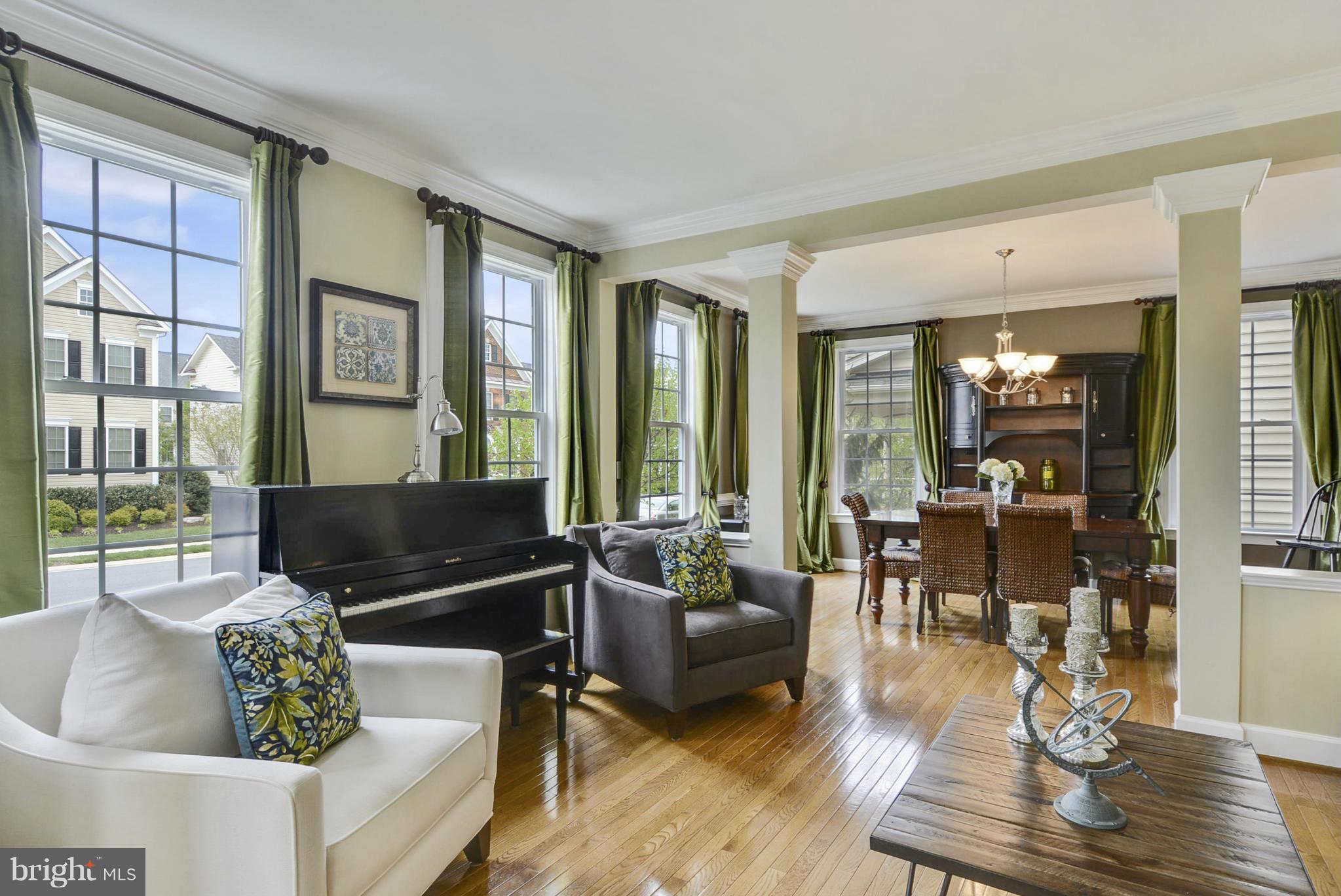 42445 Spring Splendor Drive Ashburn, VA 20148 - Photo 8 of 30 Living Room