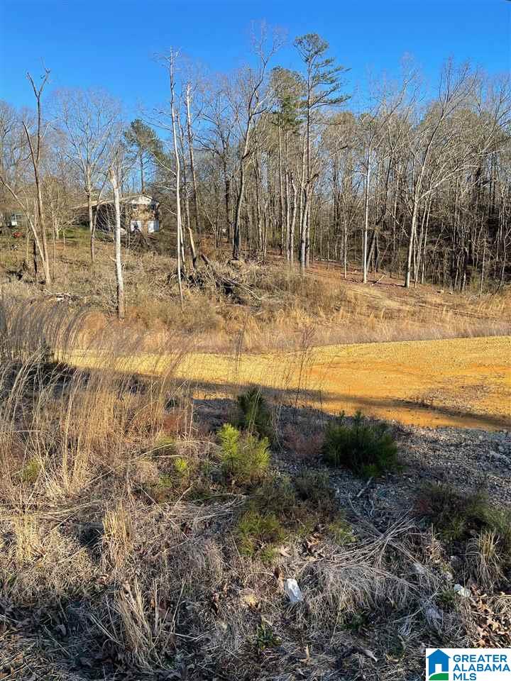 0 West 49th Street, Unit 17 Anniston, AL 36201 - Photo 3 of 5