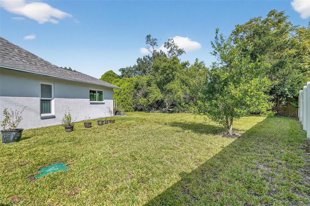 3025 Whitewood Avenue Spring Hill, FL 34609 - Photo 48 of 53 a backyard of a house with lots of green space