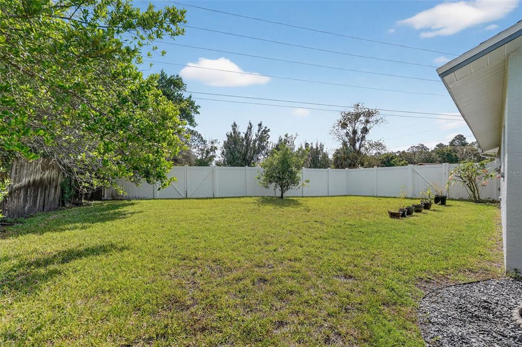3025 Whitewood Avenue Spring Hill, FL 34609 - Photo 49 of 53 a view of a yard