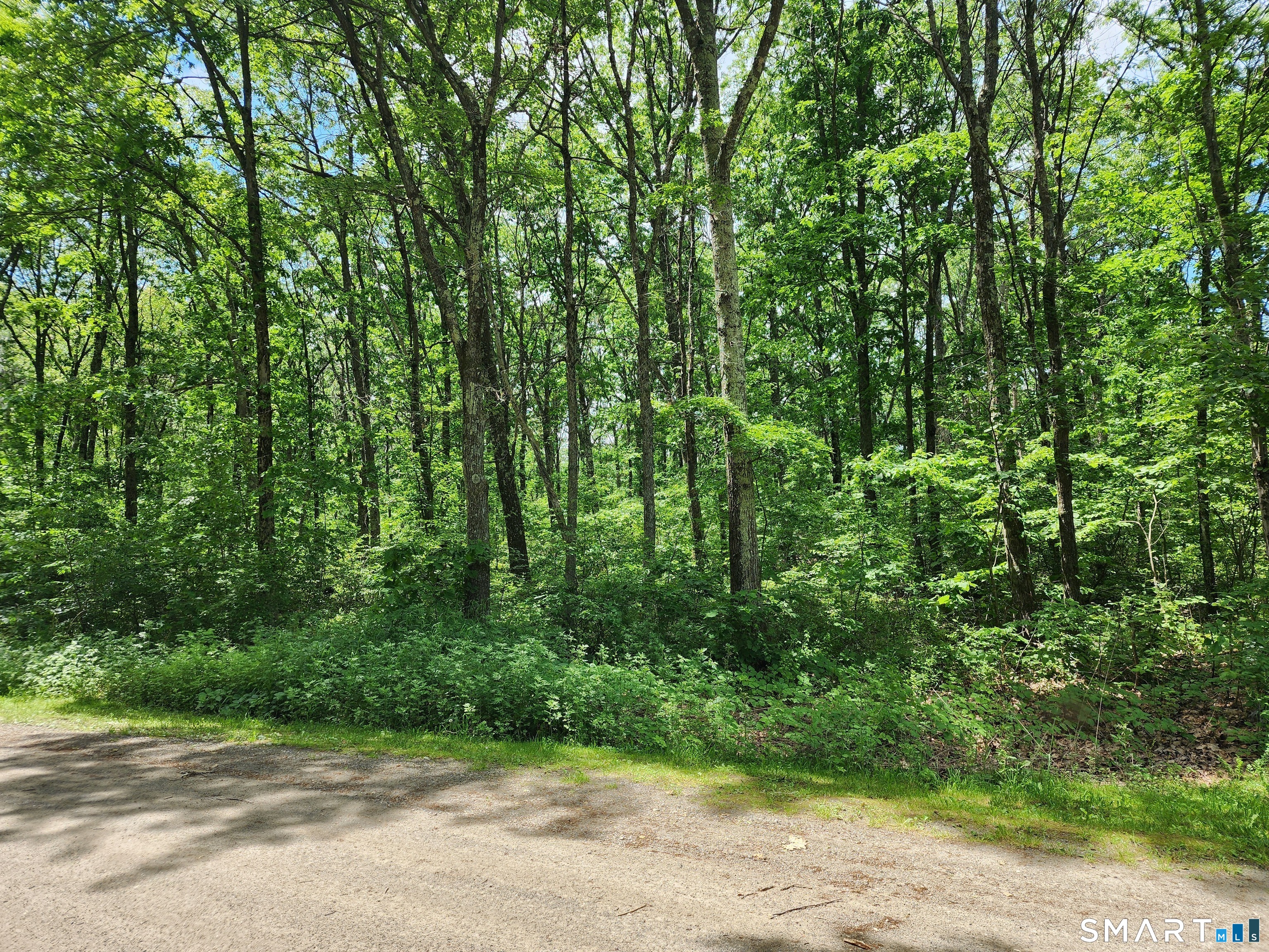 11 Old Paddock Lane Kent, CT 06785 - Photo 6 of 7